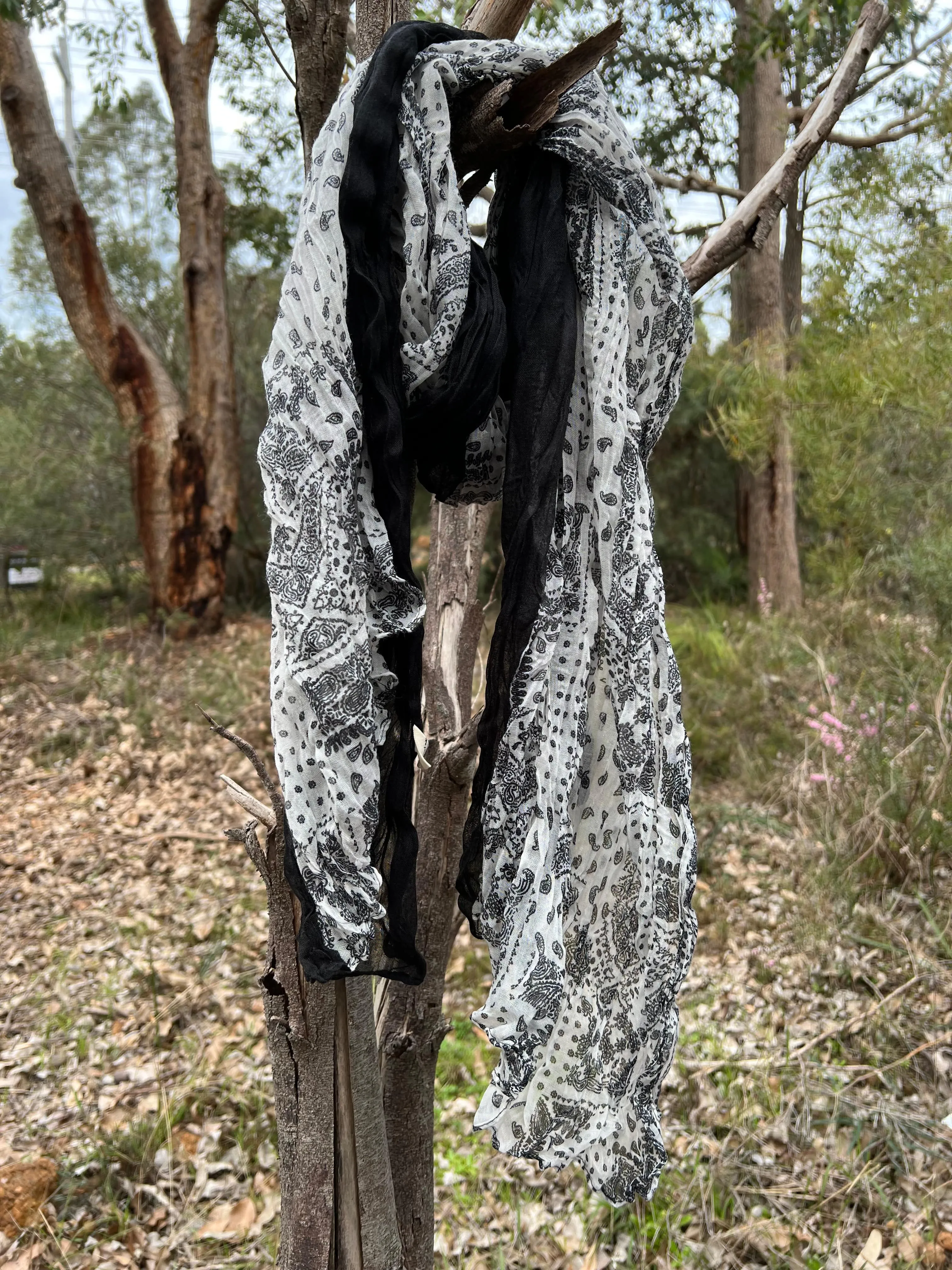 Cotton Scarf - Black & White Paisley