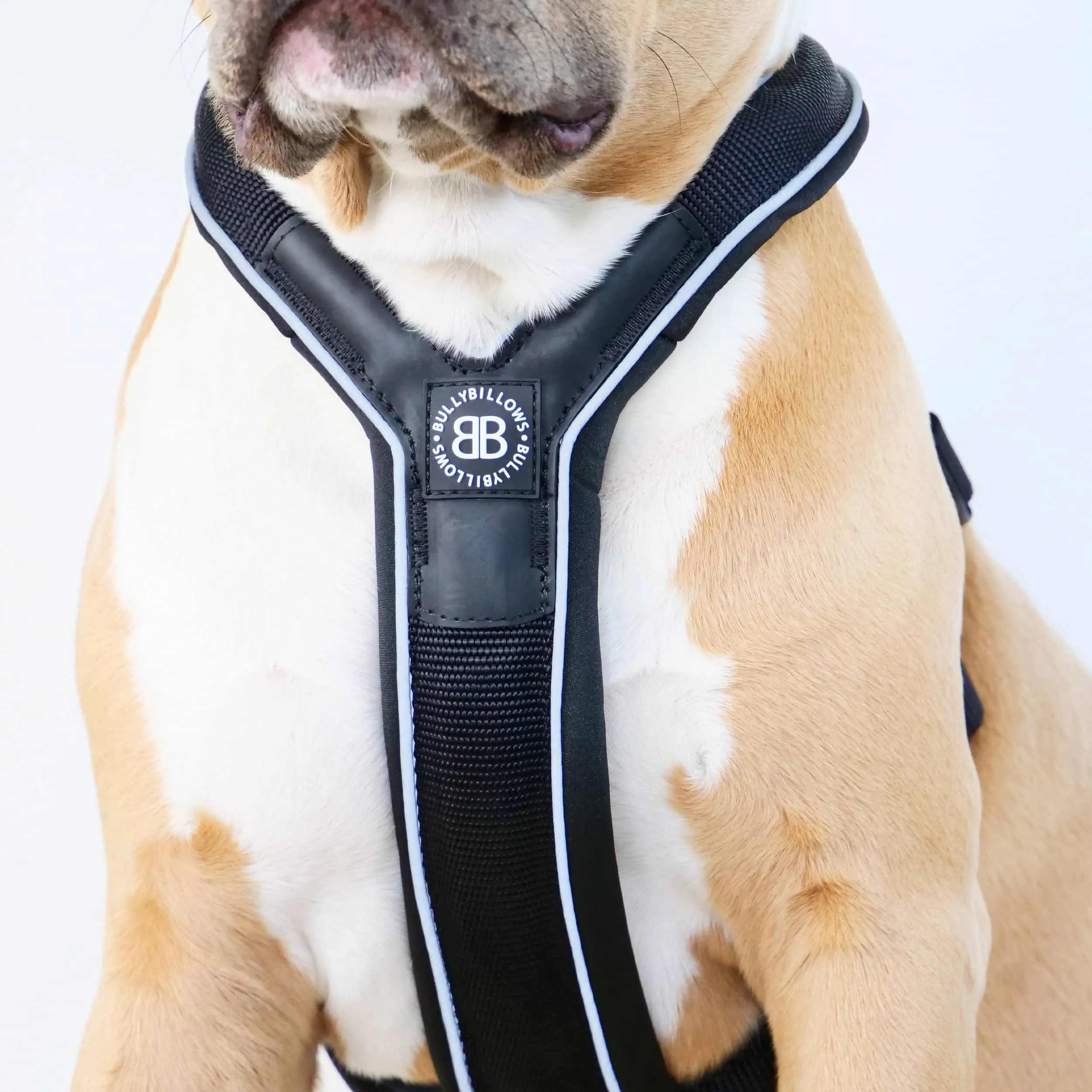 Slip on Harness | Foam Padded - Black